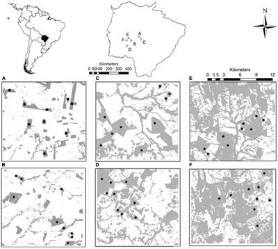 The Role of Habitat Amount and Vegetation Density for Explaining Loss of Small-Mammal Diversity in a South American Woodland Savanna